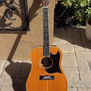 1968 Grammer G-10 “Brazilian Rosewood”
