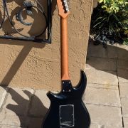 2007 James Tyler Ultimate Weapon HD