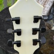 2002 American Archtop “White Lightening” Collector Series
