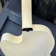 2002 American Archtop “White Lightening” Collector Series