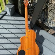 2015 Rick Turner RS6 Renaissance