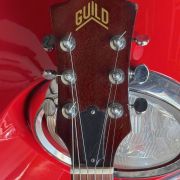 1979 Guild D-25M