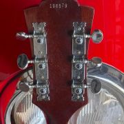 1979 Guild D-25M