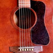 1979 Guild D-25M